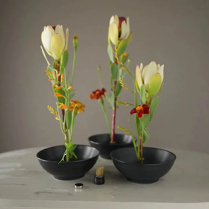Magnetiska mini–blomsterfakirer 3-pack