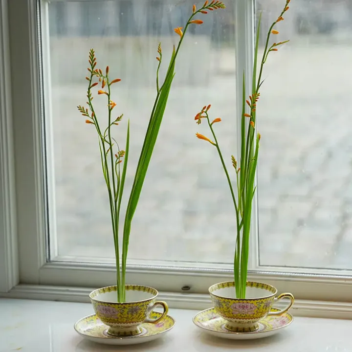 Magnetiska mini–blomsterfakirer 3-pack