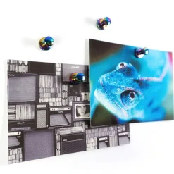 Magnet med knopp 4-pack