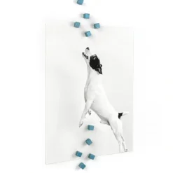 Minimagnet kub 10-pack, Blå