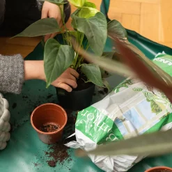 Planteringsduk inomhus