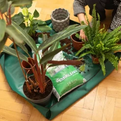 Planteringsduk inomhus