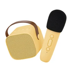 Portabelt karaokeset