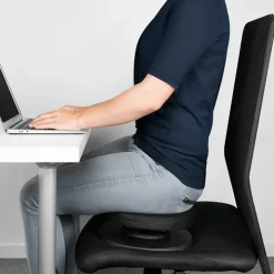 Posture balanssits