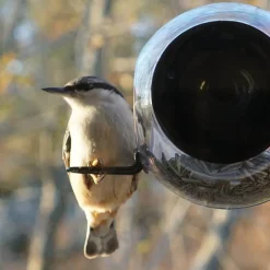 Rund fågelmatare för fönster