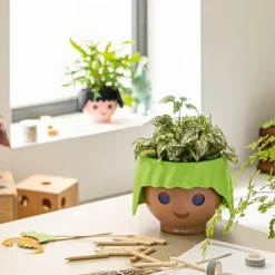 Självvattnande kruka, Ansikte