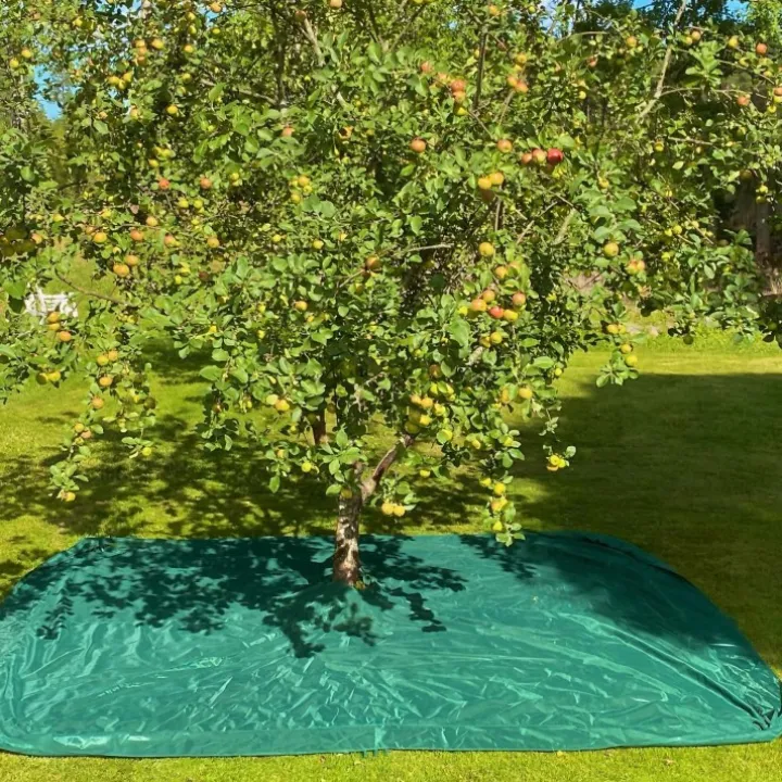 Skördenät till fruktträd