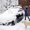 Snöskrapa SnoShark