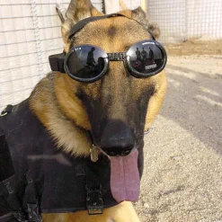 Solglasögon för hundar, Doggles