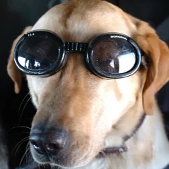 Solglasögon för hundar, Doggles