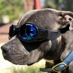 Solglasögon för hundar, Doggles