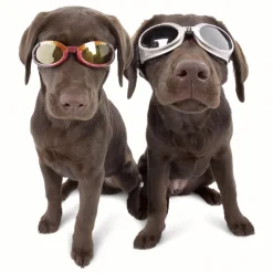 Solglasögon för hundar, Doggles