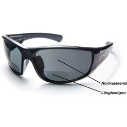 Solglasögon med läsruta