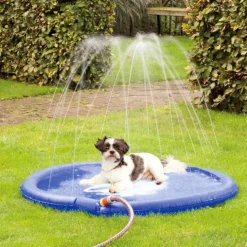 Sprinklermatta till hunden