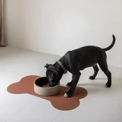 Underlägg till hundskål