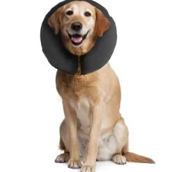 Uppblåsbar hundkrage