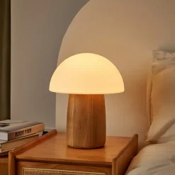 Uppladdningsbar svamplampa