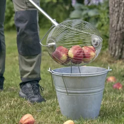 Upplockare för fallfrukt