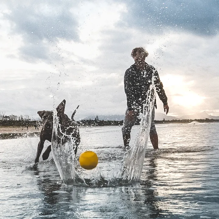 Vattenstudsboll till hunden