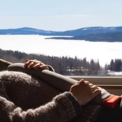 Värmekudde i täljsten, Ergostone
