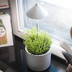 Växtlampa på spett 7W