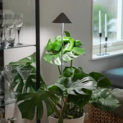 Växtlampa på spett XL 25W