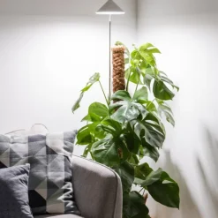 Växtlampa på spett XL 25W