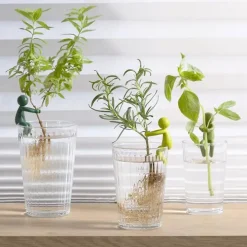Växtstöd för sticklingar 3-pack