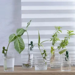 Växtstöd för sticklingar 3-pack